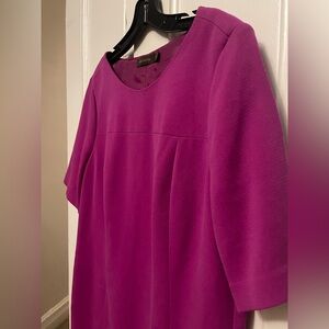 The Limited Fuchsia Mini Dress